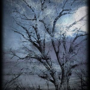 Meet your Posher, Tess